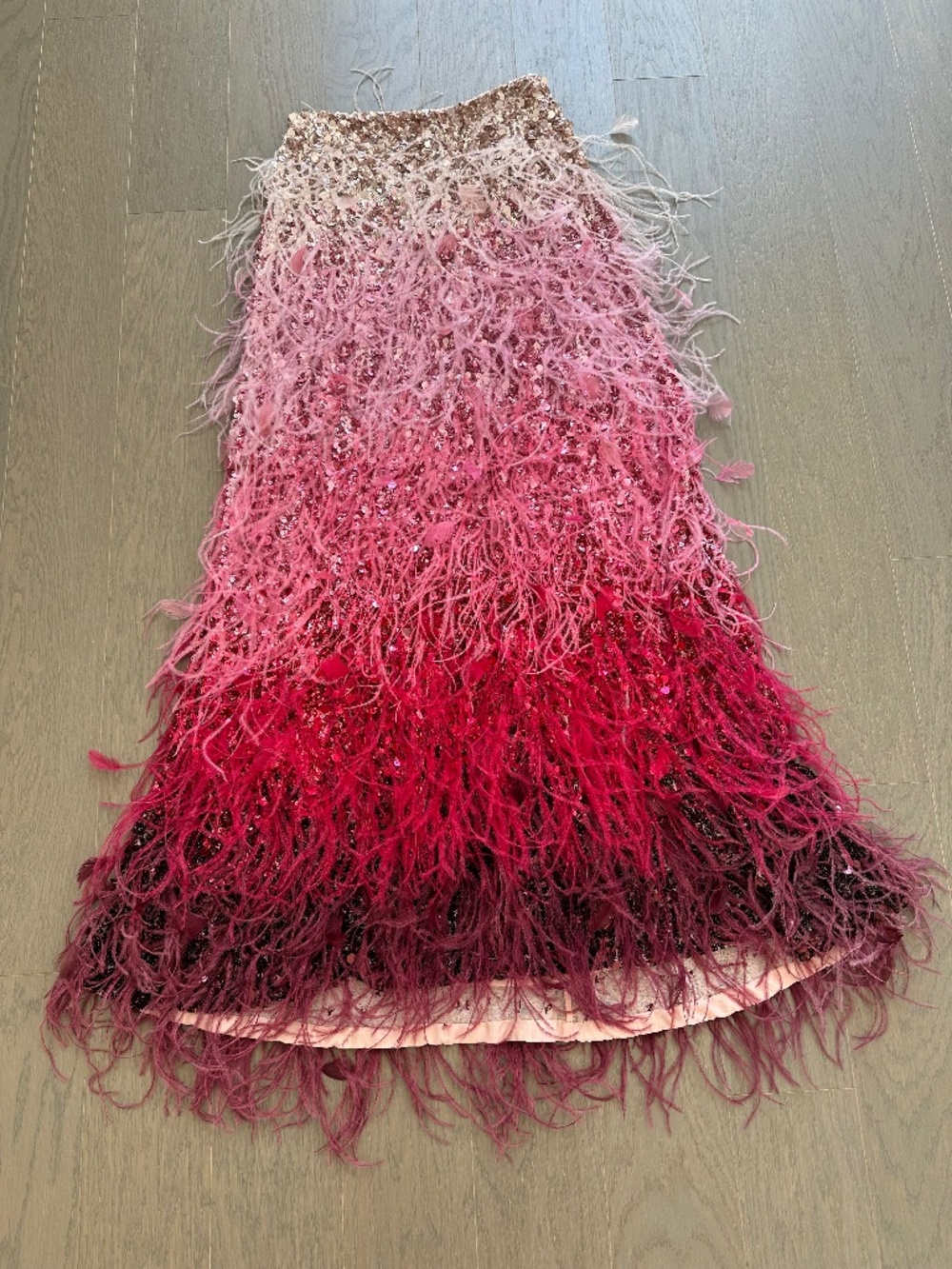 Alice + Olivia ASHTON Feathered Embellished Skirt Ascendent Ombre Deep Pink Sz 2 - Picture 2 of 9
